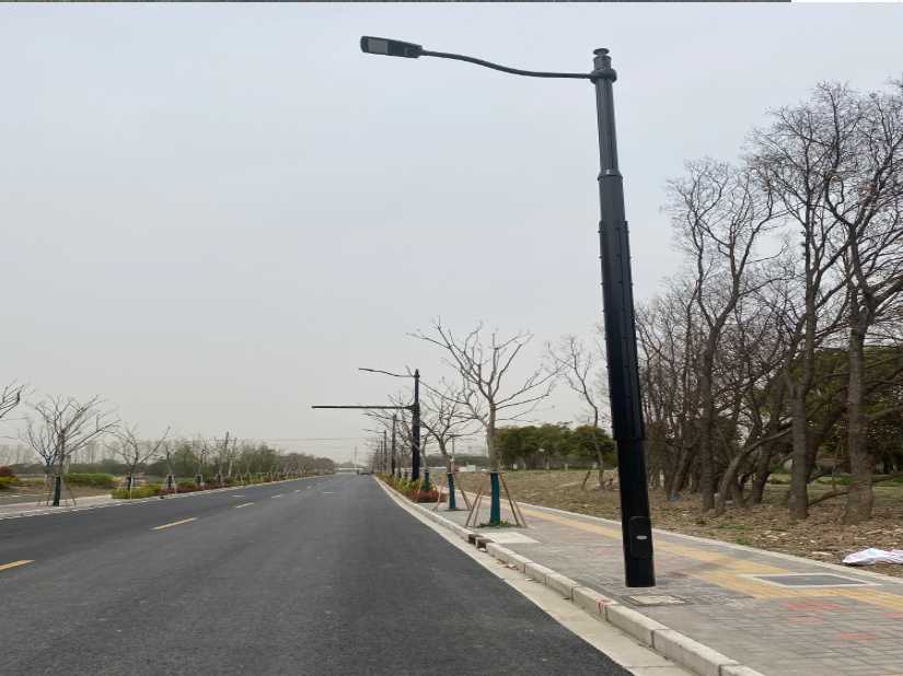 安乡县上海综合杆 太阳能路灯工程